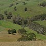 Nach weiteren 60 km sieht man am Horizont bereits die Blue Mountains.
