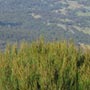 Am nächsten Morgen auf dem 'Peckmans Plateau'...