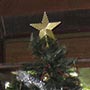 Ich hatte schon fast vergessen, dass in einer Woche Weihnachten ist.