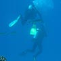...zurück im wunderschönen Great Barrier Reef.