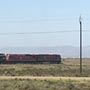 Blick auf die Lokomotiven auf dem Weg nach Port Augusta.