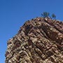 Der Zug fährt durch die Heavy Tree Gap, eine schmale Schlucht durch die MacDonnell Ranges.