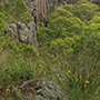 Guy Fawkes River National Park am Waterfall Way.