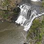 Ebor Falls.