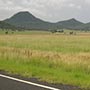 Oxley Highway zwischen Tamworth und Gunnedah.