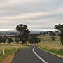 Highway 81 von Molong nach Cowra...