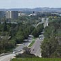 Blick entlang der Commonwealth Avenue Richtung Innenstadt.