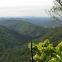 Queenslands Regenwald.