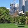 Die Skyline hinter den Botanic Gardens.