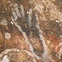 Uralte Zeichnungen von Aboriginals...